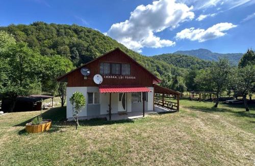 Calugareni House | Cabana lui Foardă