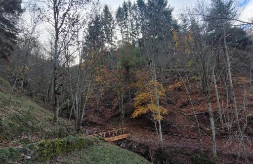 Ardeche Other | Cabane octogone sauvage - Octogonia, Ardèche
