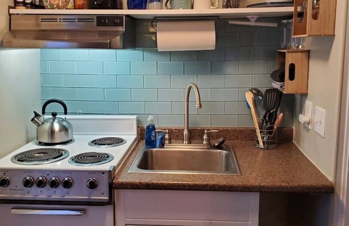 Glenwood Springs Cabin | Cabin 07 PETS OK 🐾Rustic Old West Studio+Kitchen