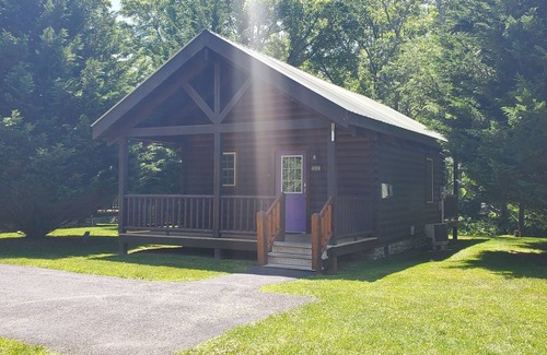 Galax Apartment | (Cabin 297) As Good As It Gets