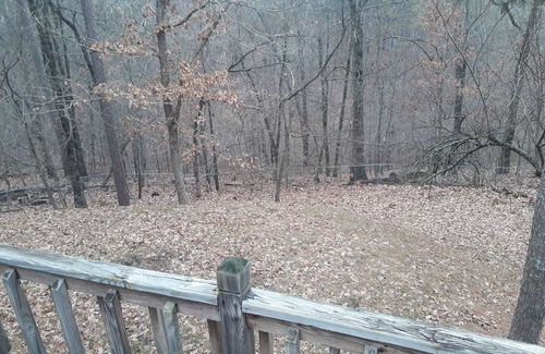 Eureka Springs Cabin | Cabin, 3 beds/baths, sleeps 8, large yard for pets, hot tub, stocked kitchen