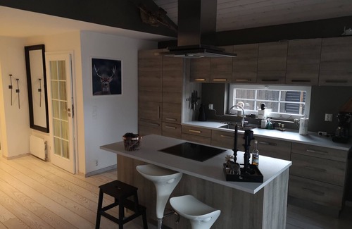 Vinje Cabin | Cabin for 10 person, playground and bikes inkludet