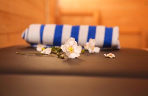 Zlatibor Cabin | Cabin Menka