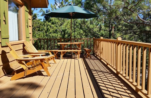 Rapid City Cabin | Cabin nestled in the Pines near Lake Pactola! ATV trails! Mt Rushmore! WI-FI