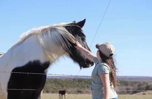 Gatesville Cabin | Cabins in Gatesville on a 1,000 acre Exotic Wildlife Ranch