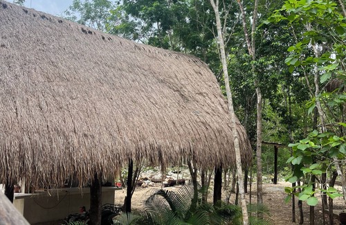 Tulum Cabin | Cabins in the middle of the Mayan jungle in Tulum with cenote type pool