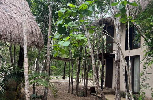 Tulum Cabin | Cabins in the middle of the Mayan jungle in Tulum with cenote type pool