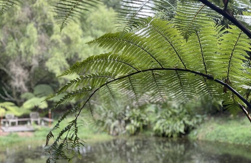 Ohaupo Cottage | Calm & Peaceful Hide away. 4.6k to Hamilton Airport 5.6ks to Waikato Expressway
