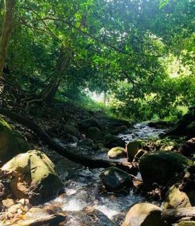 Udumbanchola Villa | CALVARY MOUNT WiLD HOME'S