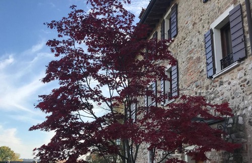 Bedizzole Other | Camera Arancio