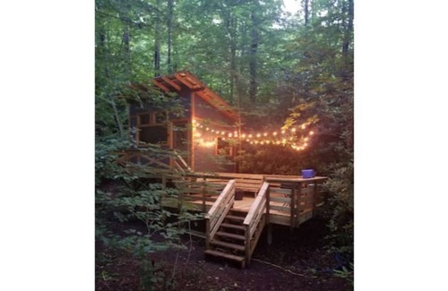 Todd RV Rental | Camp Bigfun: Tiny Treehouse Cabin Solar Power Off Grid