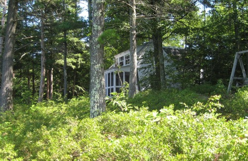 West Alton Cottage | Camp1 on Lake Winnipesaukee