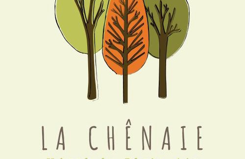 Les Mathes Other | Camping La Chênaie