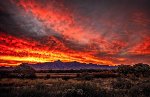 Hereford RV Rental | Campsite on Farm Near San Pedro River