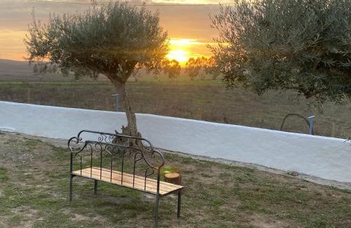 Ourique House | Canto da Planície