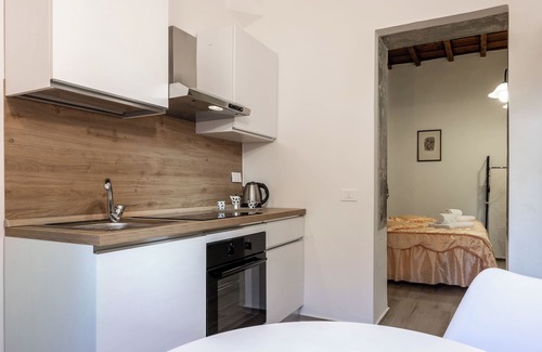 Santo Spirito Apartment | Carmine Apartment San Frediano