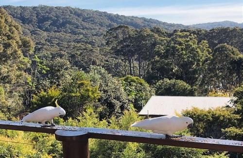 Depot Beach House | Carr Street Murramurang National Park managed by Batemans Bay Accom