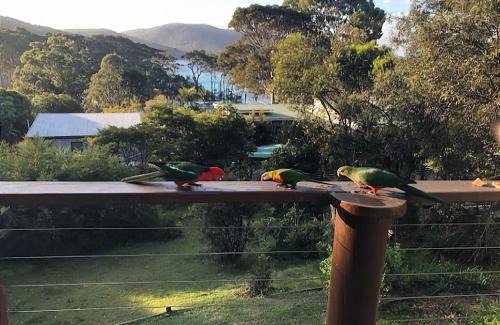 Depot Beach House | Carr Street Murramurang National Park managed by Batemans Bay Accom