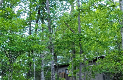 Brevard Cottage | Carson Creek Ridge Top