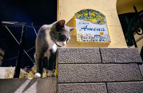 Lipari Historic Centre House | Casa Amena con ampio terrazzo e giardino