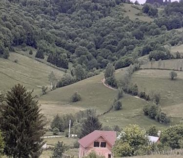 Sita Buzaului House | Casa Ardelean