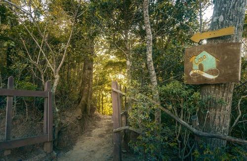 La Lindora Cabin | Casa Cielo: Bird’s Eye Views– proceeds support Sustainability Center