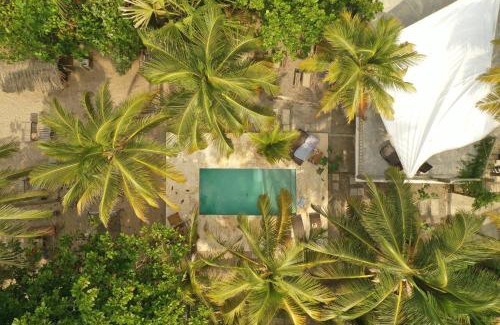 Palomino Hotel | Casa Coraje