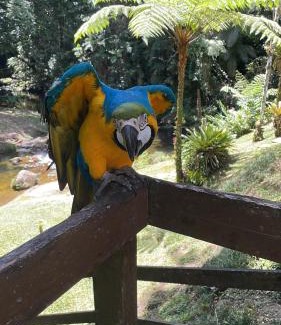 Teresopolis House | Casa da Dorinha
