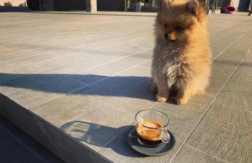 Jilotepec de Abasolo House | Casa de las Mariposas