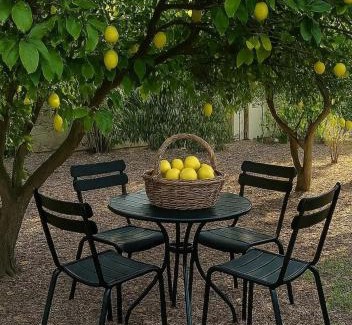 Sde Eliezer House | Casa de Limón - סוויטות בוטיק וספא יוקרתיות בגליל העליון