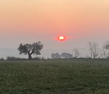 Caldes de Montbui House | Casa De Poble Termes Romanes