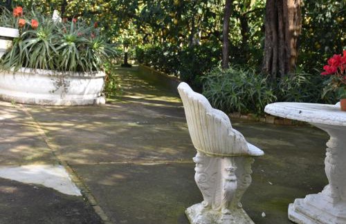 Schiazzano Apartment | casa dei limoni