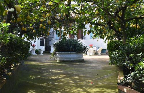 Schiazzano Apartment | casa dei limoni