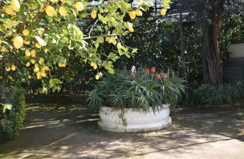 Schiazzano Apartment | casa dei limoni