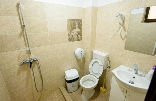 Pitesti House | Casa Domneasca Riana