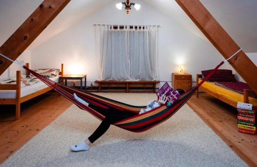 Petrila House | Casa-Dorina