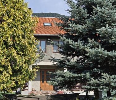 Petrila House | Casa-Dorina