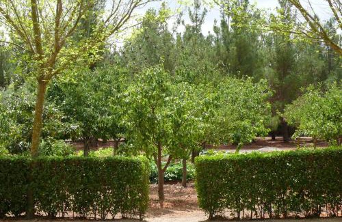 Almansa Villa | Casa en el campo con encanto