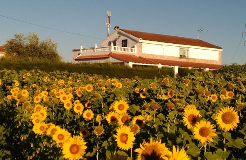 Cordoba House | CASA LOS GIRASOLES Magnificent house to enjoy a great vacation