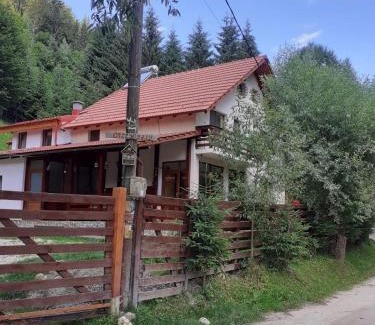 Dambovicioara House | Casa Maia Dambovicioara