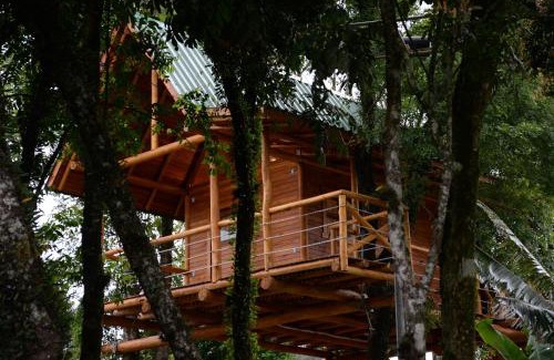 Joao Alves House | Casa na Árvore