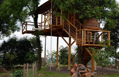 Joao Alves House | Casa na Árvore