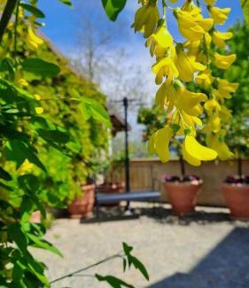 Cisterna d'Asti Apartment | Casa Nonna Ada