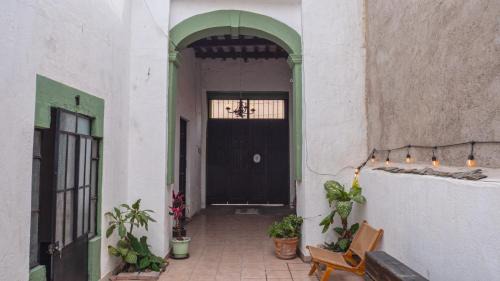 La Cruz House | Casa Olivo