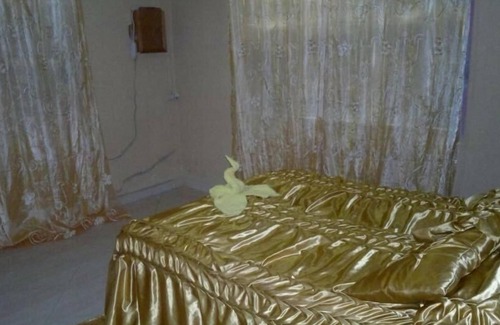 Pilon Bed & Breakfast | Casa particular SONIA