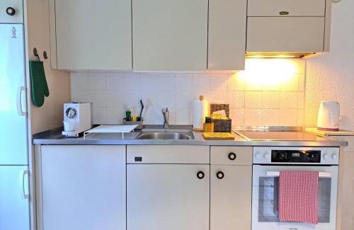 Faido Apartment | Casa Pineta - mountain atmosphere in the Leventina Valley