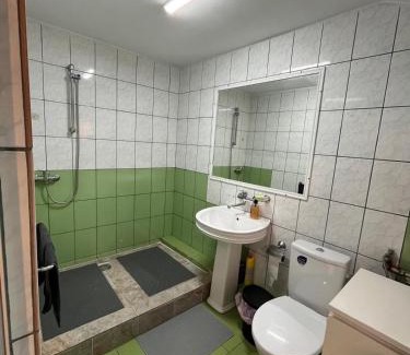 Ploiesti House | Casa Raicu