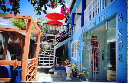 Punta Sur Apartment | Casa Royal Palm Inn