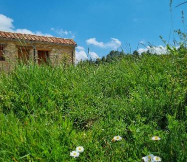 La Pobla de Benifassa House | Casa Rural Haiku