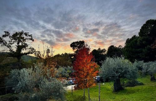 Arenas de San Pedro House | Casa Rural Las Gesillas